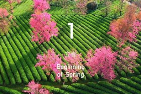 2020年立春是几月几号