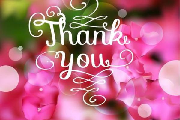 2015年感恩节是几月几日