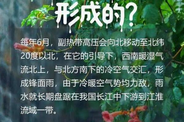 梅雨季节2022什么时间入梅 2022年入梅时间表查询