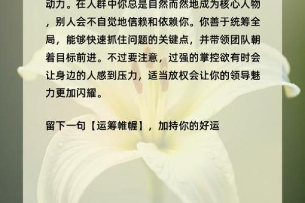 塔罗指引：2026年如何提升你的商业嗅觉