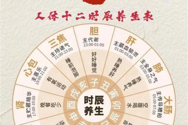 2026年五行养生法：丙午火年体质调理