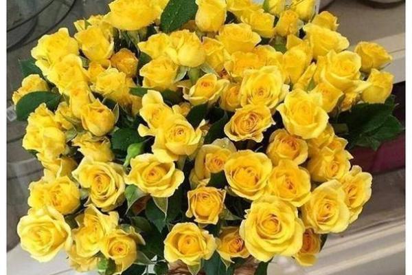 终极测试：2026年你更重视事业还是爱情？