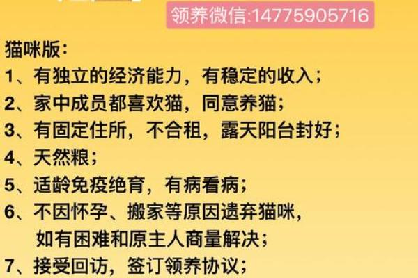 2026年搞钱宠物指南：养这些动物招财进宝