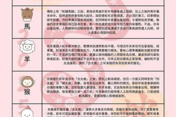 2026年属蛇人适合的学习：专业选择