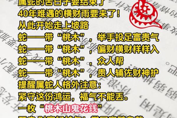 2026年属蛇人适合的学习：专业选择