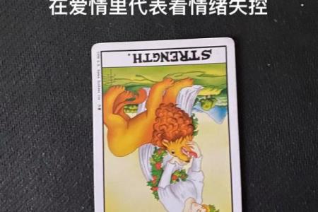 塔罗解析：2026年你必须放下的执念