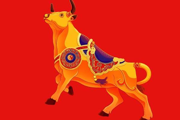 2026年事业运排行榜：看看你的生肖能升职加薪吗？