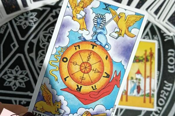 塔罗指引：抽一张牌看今日运势