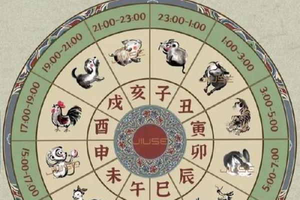 2026年十二生肖流年食物：养生调理