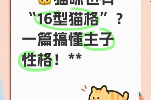 MBTI动物版:你的性格对应什么动物? MBTI动物版:你的性格对应什么动物?