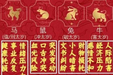 命理分析：2026年最适合自媒体的3个八字