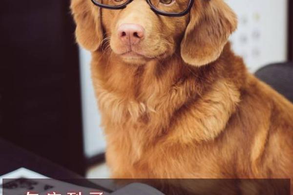 命理测试：春节你被催婚的压力指数