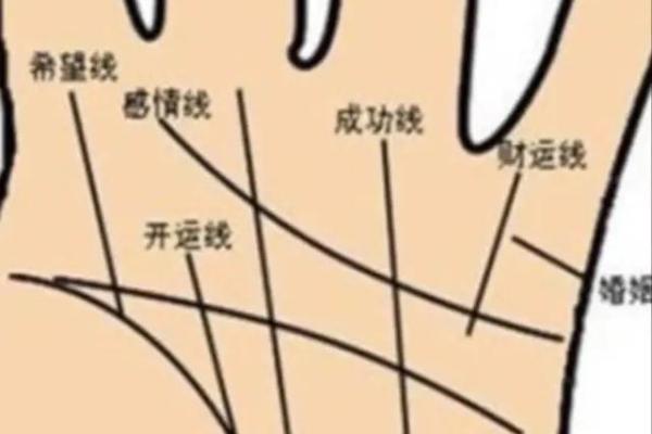 手相分析：春节前看看你的婚姻财运