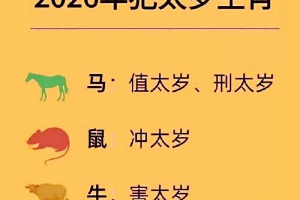 2026年属马人幸运密码：数字含义