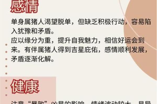 2026年属猪人每月运势解读：家庭重要事