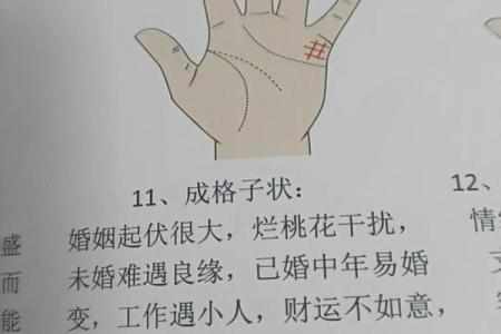 手相分析：春节前看看你的婚姻财运
