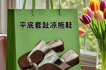 2026年旺财拖鞋指南：穿这个财运更旺