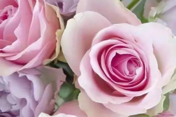 春节脱单秘诀：年初九这样做提升魅力