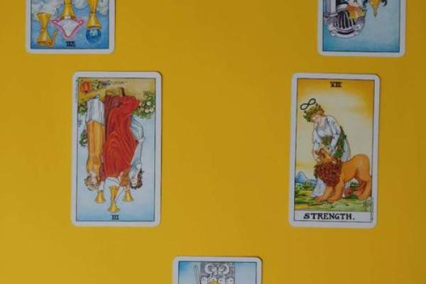 塔罗占卜｜2026年你该坚持还是转换跑道？