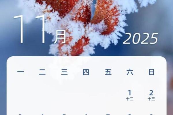 2025年日历查询_全年节假日安排一目了然