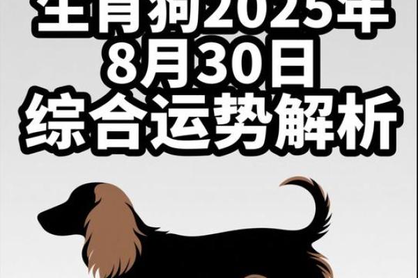 2026年属狗人健康运：体检重点检查项
