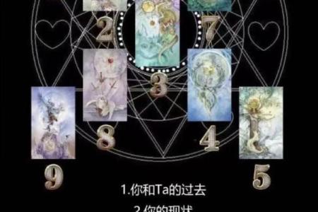 塔罗指引：2026年如何突破收入天花板