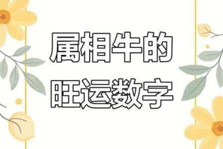 2026年属牛人幸运车牌号：字母数字