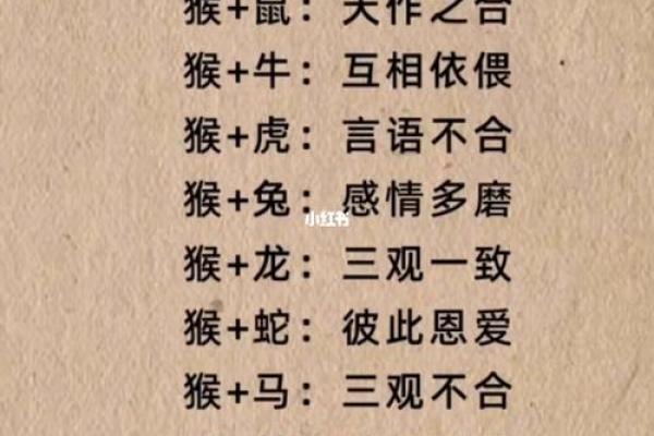 2026年最佳创业合作伙伴生肖配对