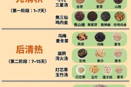 2026年属鸡人适合的饮食：养生食谱