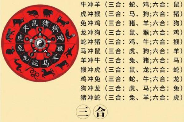 2026年属牛人最佳合作伙伴：生肖组合