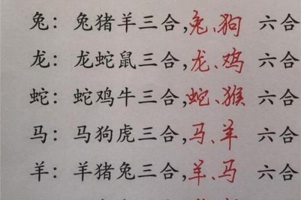 2026年属牛人最佳合作伙伴：生肖组合