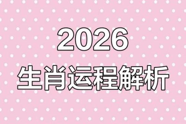 2026年十二生肖流年MBTI：性格发展