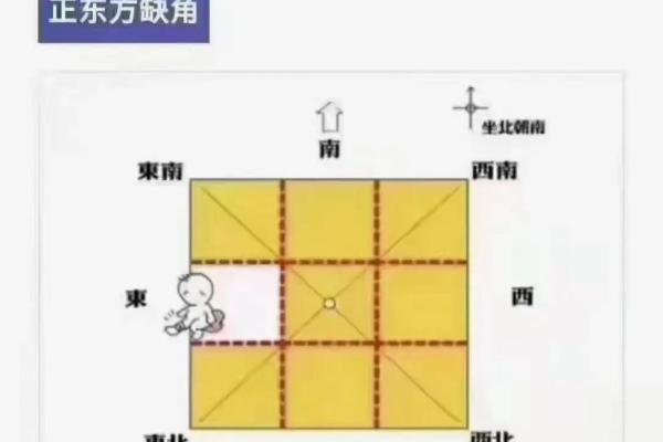 2026年健康位在正东：青龙位布局全攻略