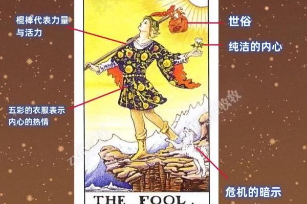 塔罗小贴士：2026年每天早晨这样做