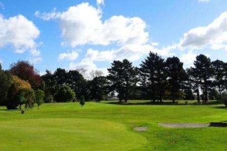 马年财运提升 herb：烧这个草药财运旺