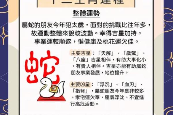 2026年十二生肖流年数字：手机密码