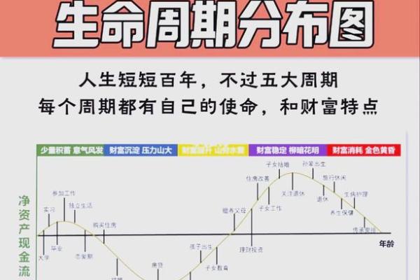 命理分析：2026年财富自由的最佳路径