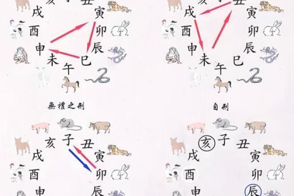 2026年十二生肖相刑生肖：容易起冲突