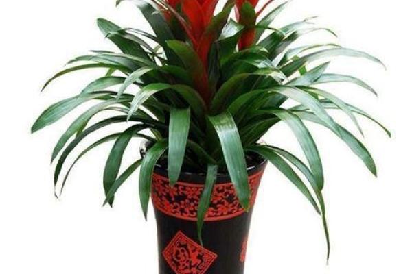 马年旺财牙膏指南：用这个颜色刷牙财运旺