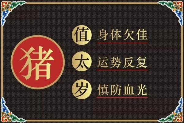 破太岁投资黑名单：2026年属猪人禁入领域