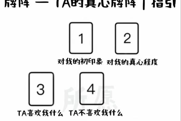 塔罗年运：2026年事业爱情平衡点