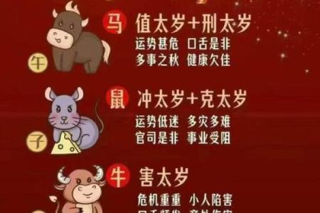 2026年十二生肖流年避灾：重要提醒