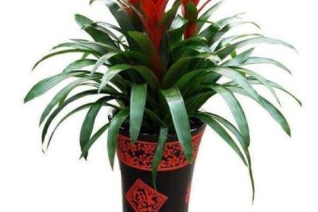 马年旺财牙膏指南：用这个颜色刷牙财运旺