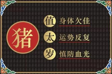 破太岁投资黑名单：2026年属猪人禁入领域