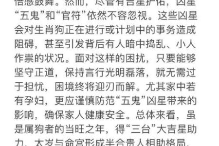 2026年属狗人团队命名：合作运势