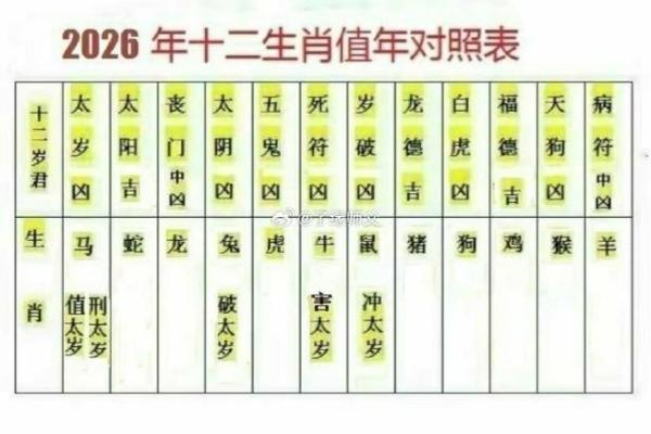 2026年十二生肖流年面相:特征变化 2026年十二生肖流年面相:特征变化
