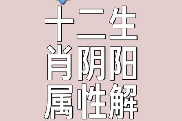 一阴一阳好发财是指什么生肖 一阴一阳好发财生肖查询方法