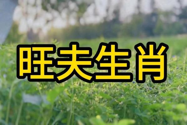 晚年最可怜的4大生肖女 晚年哪几个生肖女命苦 晚年最可怜的4大生肖女 晚年哪几个生肖女命苦