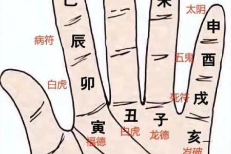 2026年十二生肖流年节气：重要节点