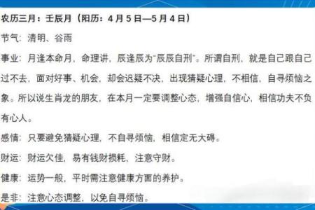 2026年搞钱茶饮：喝这个提升财运能量